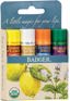 Badger Balm Lipstick Set Blue Thumbnail 1