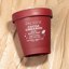 Pacifica Beauty, Cocoa Cinnamon Exfoliating Body Scrub Thumbnail 3