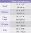 SOLIDEA Women's Active Massage0153; Abdominal Band X-Large Cream Thumbnail 5