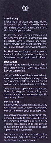 Dr. Hauschka Foundation, Pecan 3