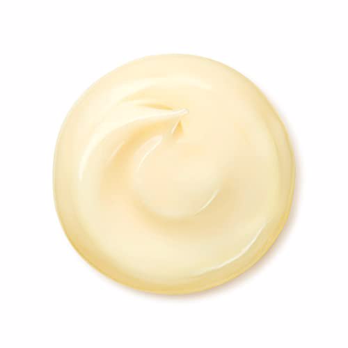 Shiseido Benefiance Anti-Aging Wrinkle Smoothing Cream 3