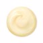 Shiseido Benefiance Anti-Aging Wrinkle Smoothing Cream Thumbnail 3