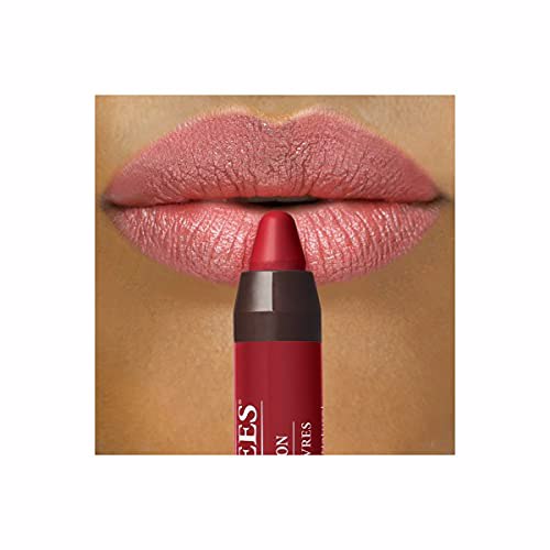 Burt's Bees 100% Natural Origin Moisturizing Matte Lip Crayon, Redwood Forest 7