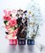 When Beauty Face Cream Mask Sleeping Mask 100ml Thumbnail 7