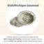 GUAM Seaweed Cold Gel, Cooling Anti Cellulite Cream Thumbnail 7