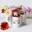 VOTUM Ceramic Makeup Brush Holder Storage  Thumbnail 7