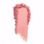 wet n wild Color Icon Powder Blush Pinch Me Pink Thumbnail 3