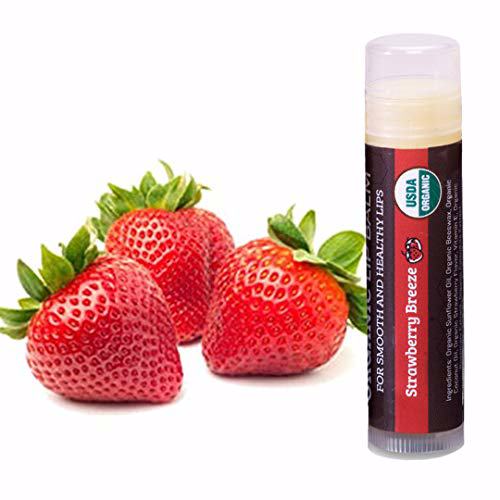 USDA Organic Lip Balm 4-Pack by Earth's Daughter Strawberry Breeze 2