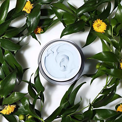 When Beauty Face Cream Mask Pore Mask 30ml 4