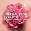 L'Oreal Paris Skincare Age Perfect Rosy Tone Face Moisturizer with SPF 30 Thumbnail 5