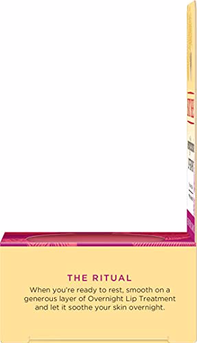 Burt's Bees Overnight Intensive Lip Treatment 12