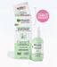 Garnier SkinActive Green Labs Canna-B Pore Perfecting Serum Cream Moisturizer Thumbnail 2