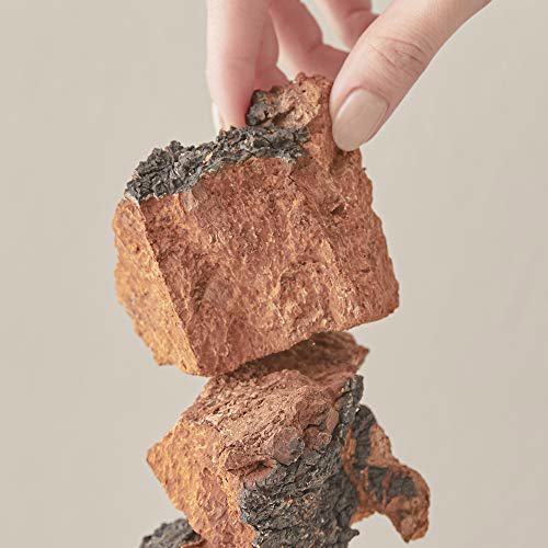 Blithe Pressed Serum, 0.74 Fl Oz Tundra Chaga 6