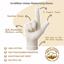 EvridWear Men Moisturizing Cotton Gloves, l/xl beige Thumbnail 5