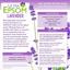 SaltWorks Ultra Epsom, Lavender Scented Premium Epsom Bath Salt Thumbnail 4