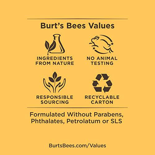Burt's Bees 100% Natural Moisturizing Lip Balm Coconut & Pear and Mango 7