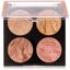 Revolution Cheek Kit Fresh Perspective Thumbnail 1