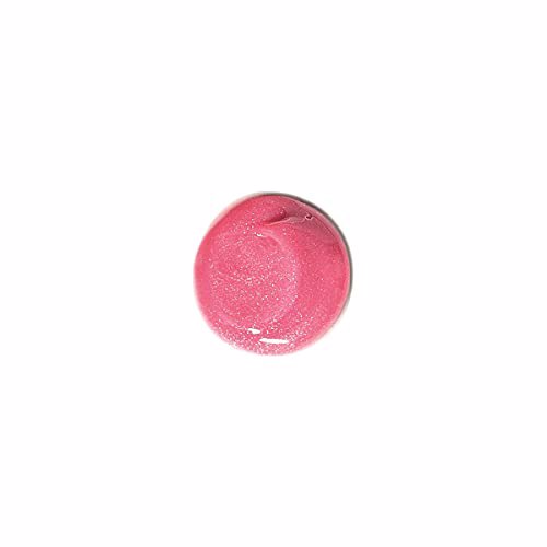 Burt's Bees 100% Natural Moisturizing Lip Gloss, Rosy Dawn 4