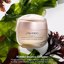 Shiseido Benefiance Anti-Aging Wrinkle Smoothing Cream Thumbnail 5