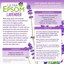 SaltWorks Ultra Epsom, Lavender Thumbnail 3