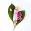 Pure Fiji Nourishing Exotic Oil Thumbnail 4