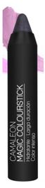 Camaleon Magic Colourstick Rossetto Grigio Thumbnail 1