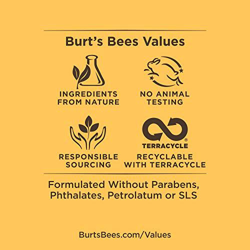 Burt's Bees 100% Natural Moisturizing Lip Shimmer, Strawberry 6
