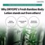 DRYOPE Fresh Bamboo Body Lotion Thumbnail 5