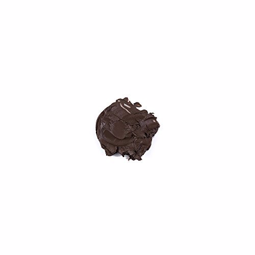 Anastasia Beverly Hills DIPBROW Pomade Ebony 4