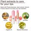 BINGBRUSH 2 Pcs Peach Color Changing Lipstick Queen Thumbnail 4
