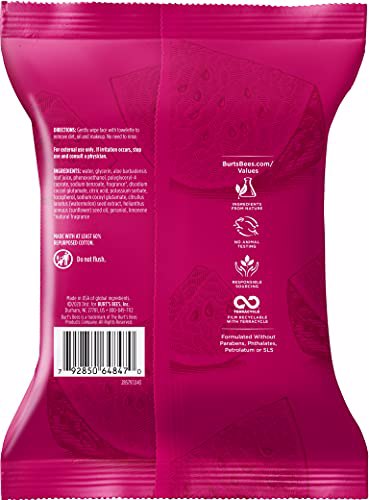 Burt’s Bees Hydrating Facial Cleanser, Watermelon 11