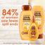 Garnier Whole Blends Honey Treasures Repairing Shampoo Pack of 2 Thumbnail 5