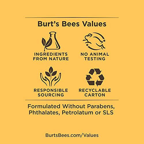 Burt's Bees Overnight Intensive Lip Treatment 3
