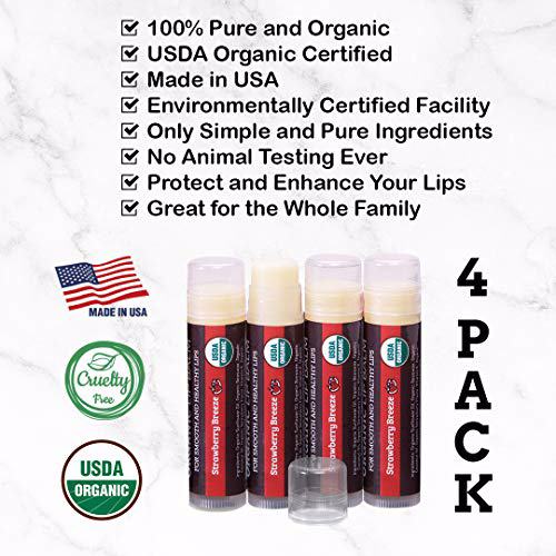 USDA Organic Lip Balm 4-Pack by Earth's Daughter Strawberry Breeze 3