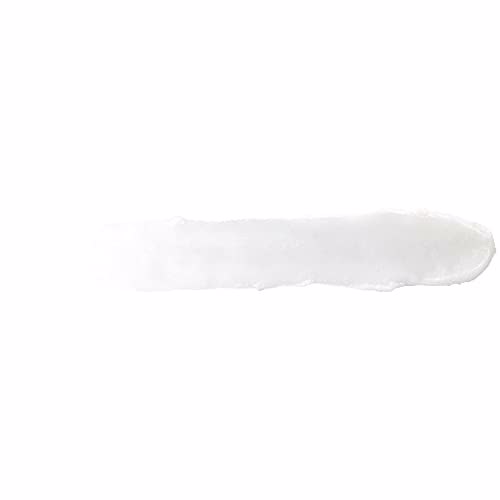 Burt's Bees 100% Natural Moisturizing Lip Balm Vanilla Bean 3