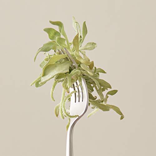 Blithe Pressed Serum Crystal Iceplant Cooling Face Moisturizer Gel 6