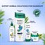 Himalaya Anti-Dandruff Hair Cream Thumbnail 6