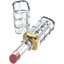 L'Oreal Paris Makeup Colour Riche Shine Lipstick, Varnished Rosewood Thumbnail 3