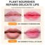 BINGBRUSH 2Pcs Crystal Flower Jelly Color Changing Lipstick Thumbnail 5