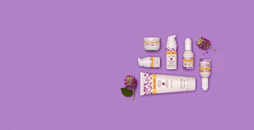 Burt's Bees Renewal Dark Spot Corrector 9