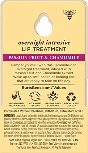 Burt's Bees Overnight Intensive Lip Treatment 8