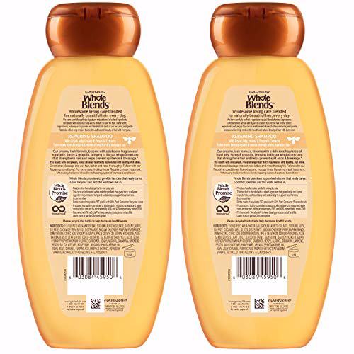 Garnier Hair Care Whole Blends Honey Treasures Repairing Shampoo 2