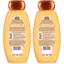 Garnier Hair Care Whole Blends Honey Treasures Repairing Shampoo Thumbnail 2