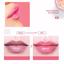 DEERWIN 20Pcs Cranberry Crystal Lip Mask  Thumbnail 5