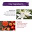 Himalaya Revitalizing Night Cream Overnight Repair Treatment Thumbnail 5